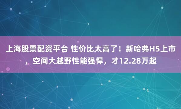 上海股票配资平台 性价比太高了！新哈弗H5上市，空间大越野性能强悍，才12.28万起