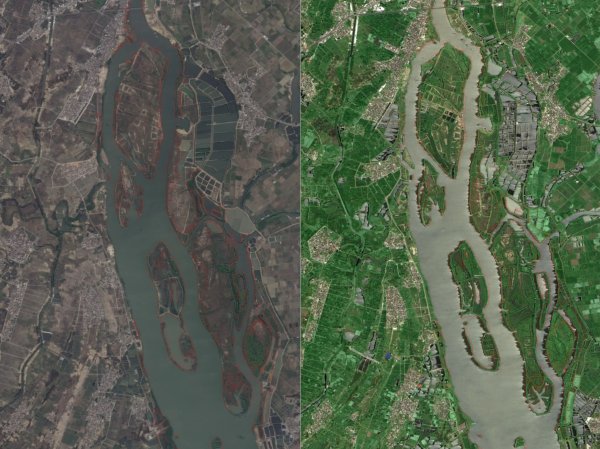 配资查询门户导航网 卫星看变化｜见证湛江红树林、深圳鲲鹏径一号桥绿意回归