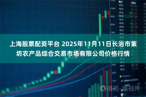 上海股票配资平台 2025年11月11日长治市紫坊农产品综合交易市场有限公司价格行情